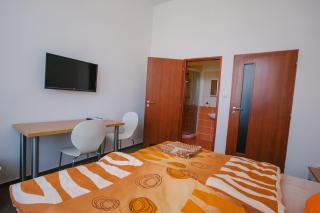 Guest House U Zlatého Jelena - Žinkovy - 8