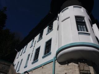 Hotel Tantzi - Sinaia - 4