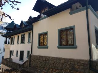 Hotel Tantzi - Sinaia - 3