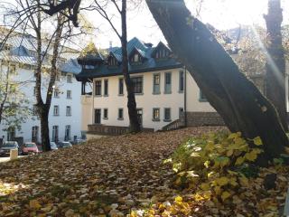 Hotel Tantzi - Sinaia - 2