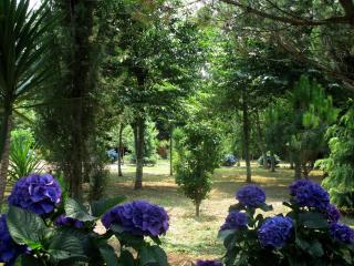 Quinta Outeiro da Luz - Branca - 3