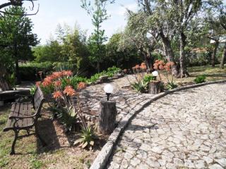 Quinta Outeiro da Luz - Branca - 2