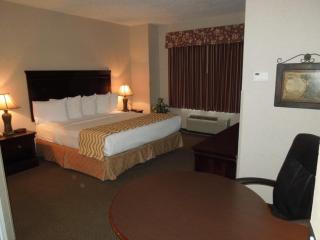 Super 8 by Wyndham Albany - 5