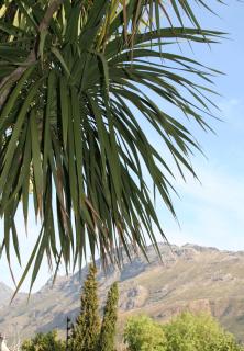 Keren's Vine Guesthouse - Stellenbosch - 2
