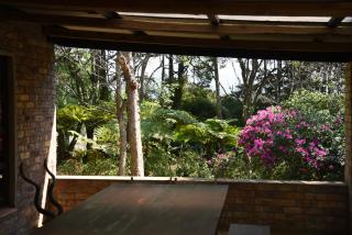 Molly's Cottage - Graskop - 2