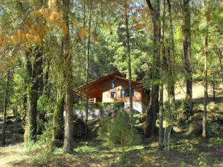 Cabañas Alpinas López Fontes - Valle de Bravo - 4