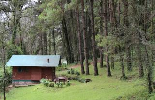 Cabañas Alpinas López Fontes - Valle de Bravo - 5