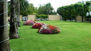 Best Western PLUS Los Mochis - Los Mochis - 6