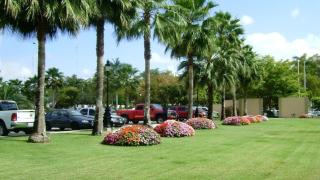Best Western PLUS Los Mochis - Los Mochis - 1