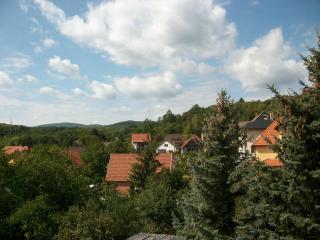 Szamóca Vendégház - Miskolctapolca - 8