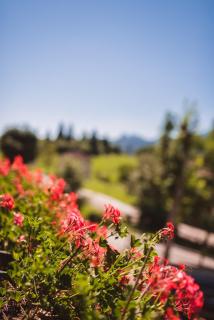 Hotel Mignon - Folgaria - 1