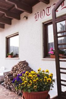 Hotel Mignon - Folgaria - 4