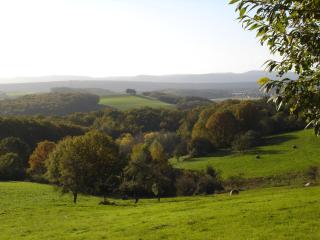 Hotel & Landgasthaus Pfeifertal - 1