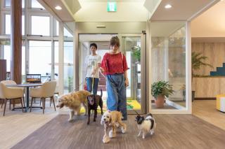 Izumigo Izukogen Dog Paradise Condominium - Ito - 2