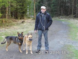 Pension Mona Lisa - Braunlage - 8