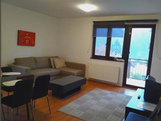 Mountain View Nest - Sinaia - 7