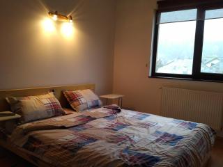 Mountain View Nest - Sinaia - 4