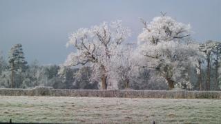 Mayertorne Cottage - Aylesbury - 7