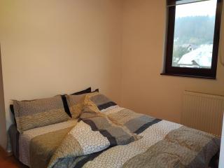 Mountain View Nest - Sinaia - 3
