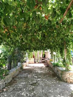 Villa Gianfreda - Ceglie Messapica - 4