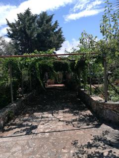 Villa Gianfreda - Ceglie Messapica - 5