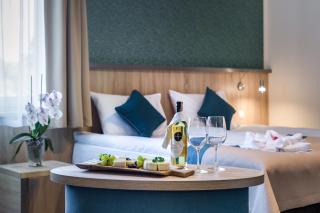 Krasicki Hotel Resort & Spa - Świeradów-Zdrój - 1