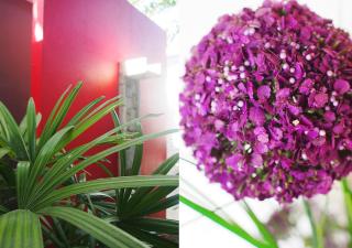 Chic Hotel Boutique - Barra Grande - 7