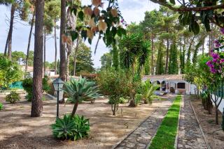 Verdizela Pool & Garden - Charneca - 5