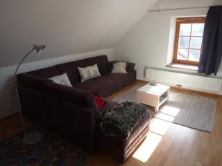 Apartments Tabor43 - Cerknica - 8