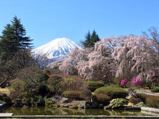 Fuji View Hotel - Fujikawaguchiko - 4
