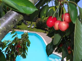 Chateau de la Saone - 1