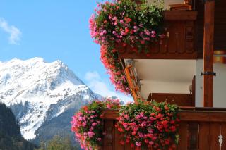 Haus Obere Allmein - Sankt Gallenkirch - 5