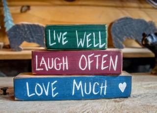 Bear Hug #18 - Sevierville - 3