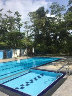 Papaya Hikkaduwa - 5