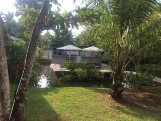 Papaya Hikkaduwa - 6