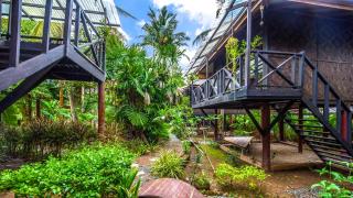 Fruit Tree Lodge - Koh Lanta - 8