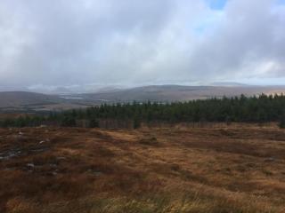 Carrowntober House B & B - Oughterard - 7