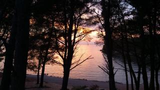 Mobile Home Palma - 5