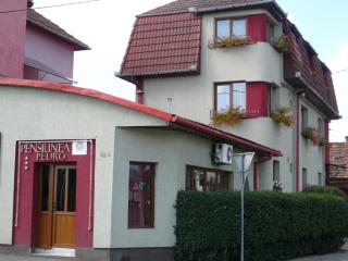 Pensiunea Pedro - Cluj-Napoca - 9