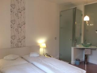 Hotel Heidelberg Astoria - Heidelberg - 3