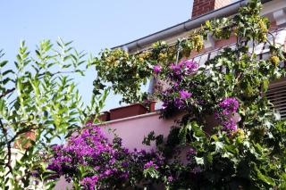 Apartments Vodaric - 1