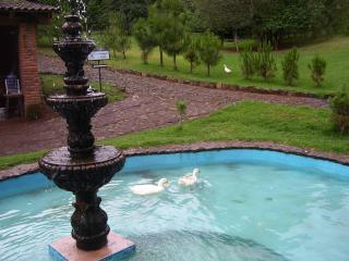 Hacienda Mariposas - Pátzcuaro - 4