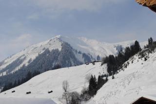 Ferienhof Weissenbach - Holzgau - 9
