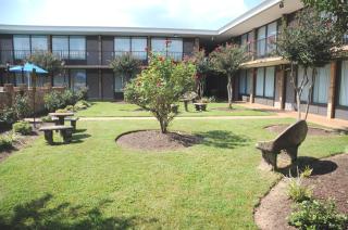 Best Western Greenville Airport - 9