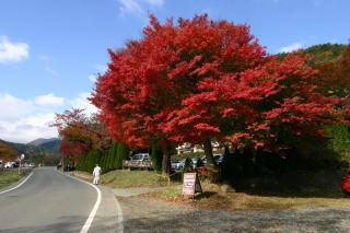 Villa May Queen - Fujikawaguchiko - 2
