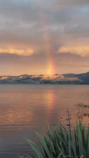 Koutu Beach Bed and Breakfast - Rotorua - 6