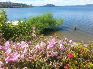 Koutu Beach Bed and Breakfast - Rotorua - 8