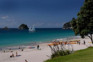 Ponga eco-lodge - Hahei - 9