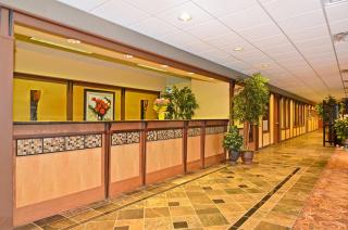Americinn by Wyndham Birch Run - Frankenmuth - Birch Run - 1