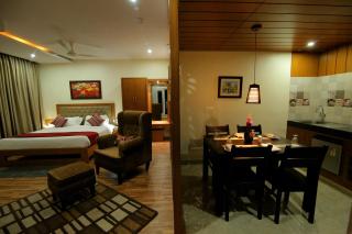 Hotel Hampi International - Hospet - 8